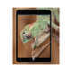 Защитная пленка Benks Magic HR Screen Protector для iPad 2/3/4