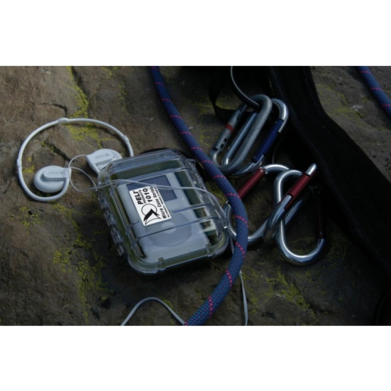 H1: Кейс 1010